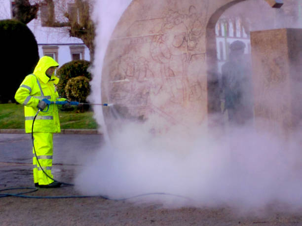 Best House Pressure Washing  in Carlton, OR